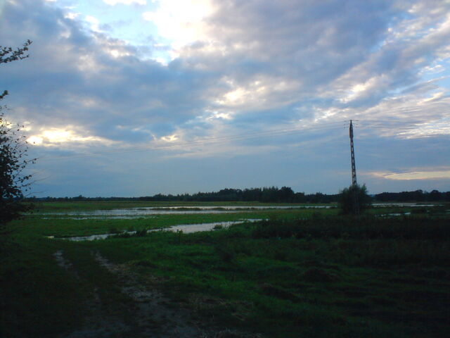 Plik:Kurowka02092010-9.jpg