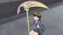 Sakura with Oihaguzuki