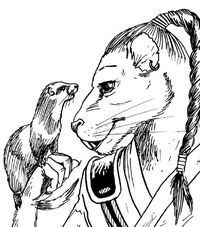 Ferret