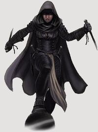 Assassin Slayer
