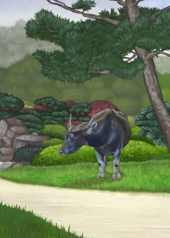 File:Ox.jpg