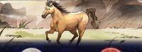 Hour of the Horse