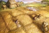 Barley Farm 2