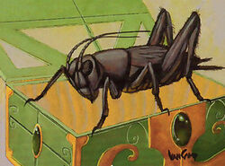 Cricket