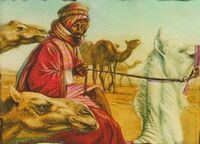 Al-Balah