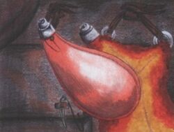 Water Bags