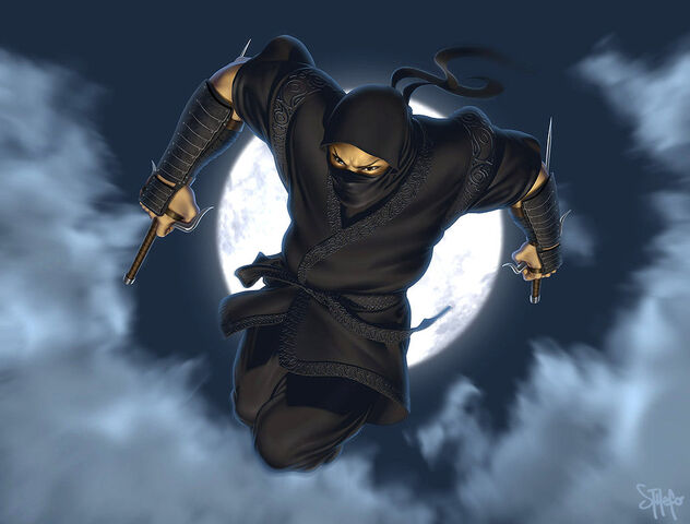 File:Silent Blade.jpg