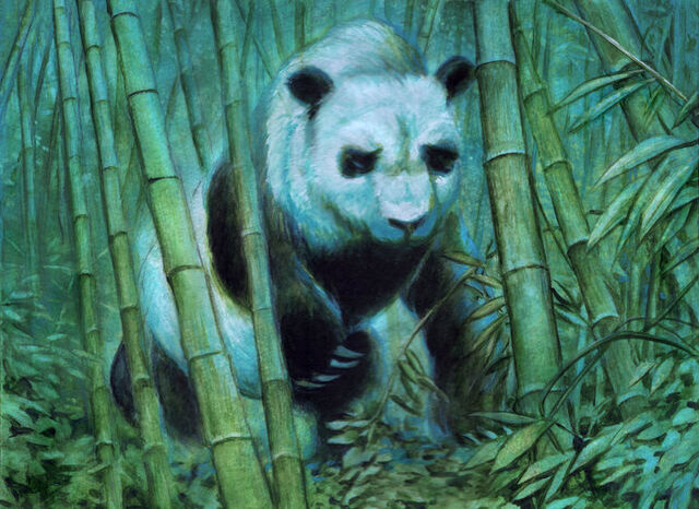 File:Panda.jpg