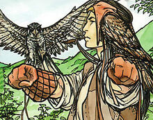 Falconry