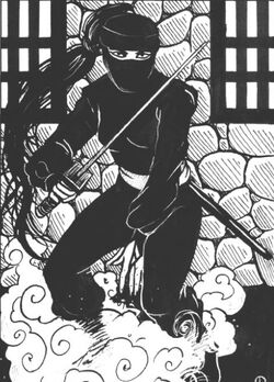 Goju Hoseki 2