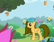 Pinkamenaponis