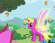 PonyWithBackground