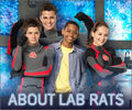 Thumbnail for version as of 01:34, March 1, 2012