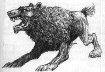 Perro de guerra.jpg