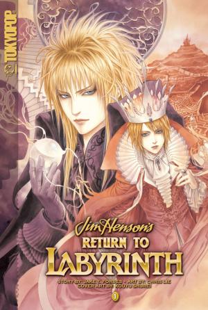 File:Returntolabyrinthcover.jpg