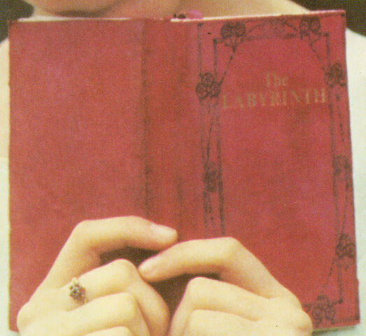 File:Labyplay.jpg