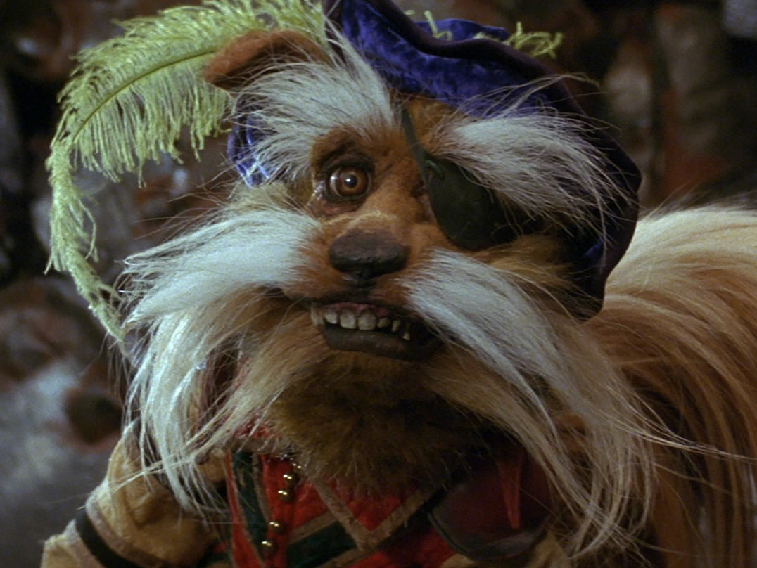 Dog Rescue Movies List Dog Rescue Movies List