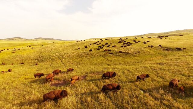File:Prairie.jpg