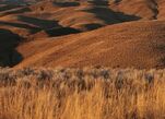 Hills