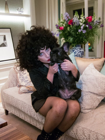 File:9-29-14 LittleMonsters.com 003.jpg