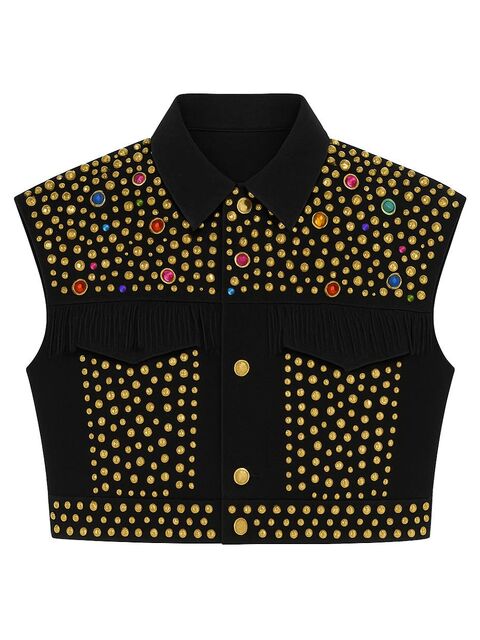File:Dog - Studded jacket.jpg