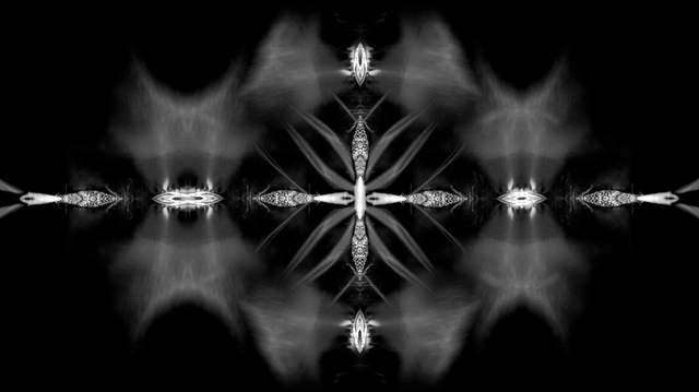 File:BadRomance-Interlude-SHOWstudio-3.png