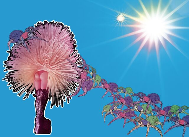 File:ArtRAVE Tourbook 7.jpg