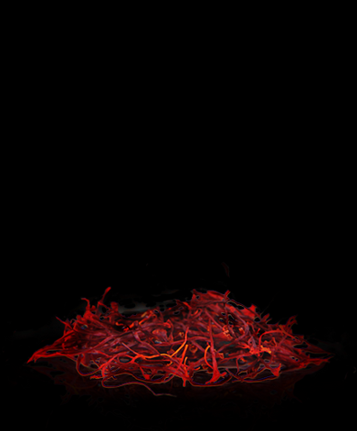 File:LADY GAGA FAME Saffron.png