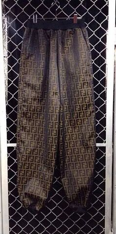 File:Dog - Fendi pants.jpg