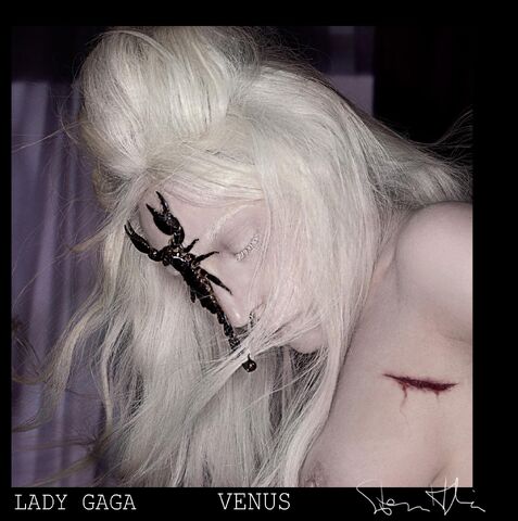 Fichier:Venus-Single 001.jpg