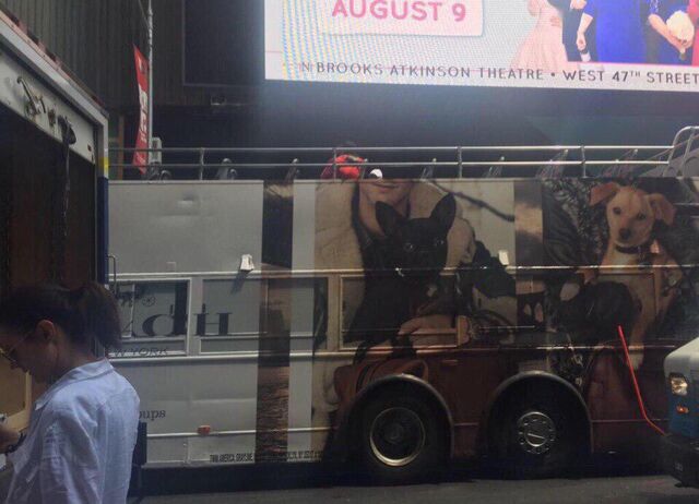 File:7-28-15 LittleMonsters.com 005.jpg