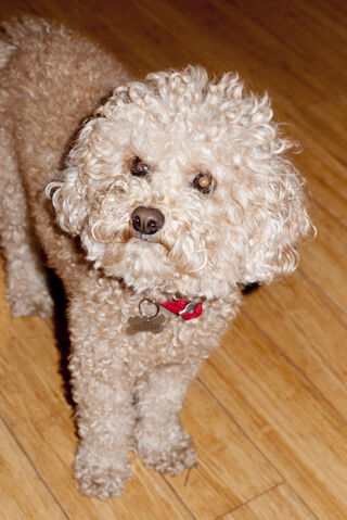 File:8-24-13 Terry Richardson 002.jpg