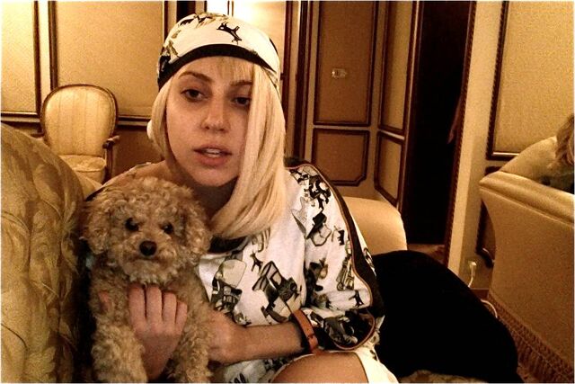 File:8-11-12 Little Monsters 002.jpg