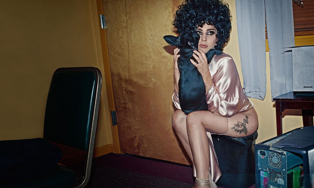 File:6-16-14 Steven Klein 003.jpg