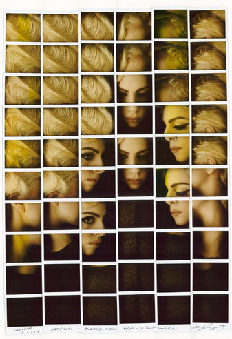 File:1-7-10 Maurizio Galimberti 001.jpg