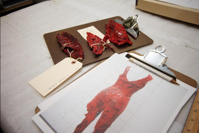 File:Meat dress 1.png
