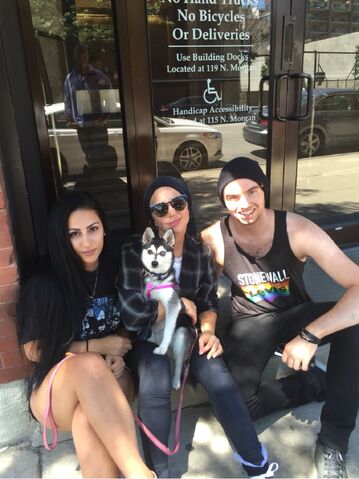 File:7-21-15 LittleMonsters.com 003.jpg