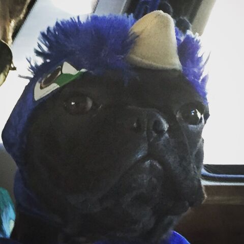 File:11-1-15 Instagram 006.jpg
