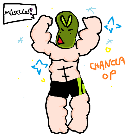 Archivo:ChanclaOP.png