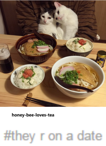 Archivo:Laotp.png