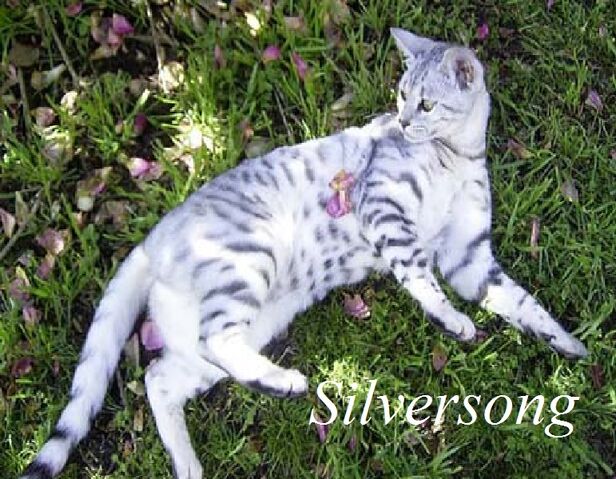 File:Silversong.jpg