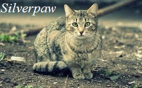 File:Silverpaw.jpeg