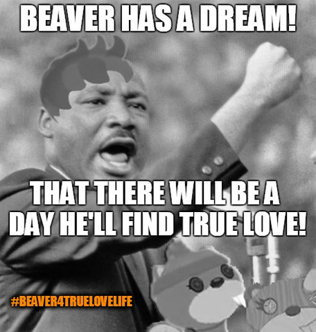 File:Beaver's Dream Beaver4TrueLoveLife.png
