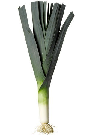 File:Perfect.jpg