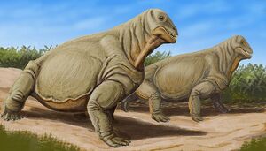 800px-Moschops11DB