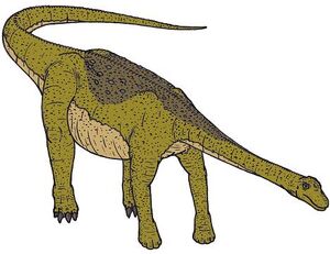 Nemegtosaurus-0