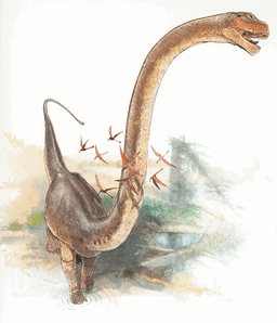 Omeisaurus