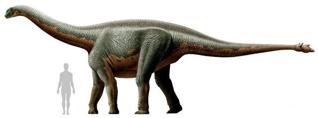 File:Shunosaurus.jpg