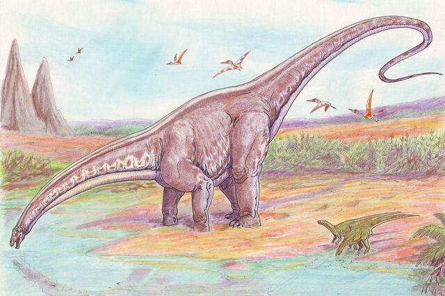File:Apatosaurus33.jpg