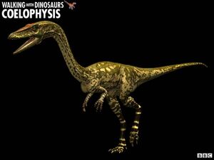 Coelophysis z1